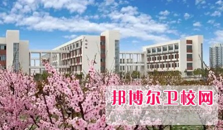 湖北2024年初中生可不可以上护理宝威（中国）一站式服务平台