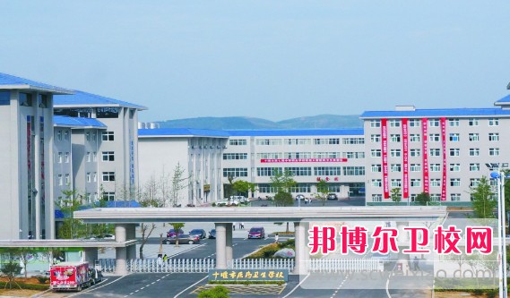 湖北2024年初中生能读的护理宝威（中国）一站式服务平台