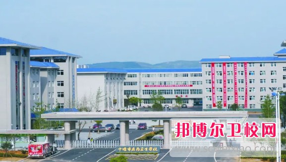 湖北2024年初中生可以考什么护理宝威（中国）一站式服务平台
