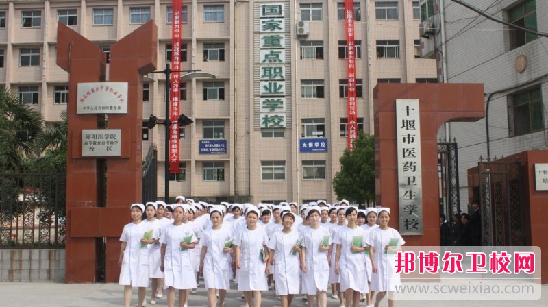 湖北2024年初中生可以读什么护理宝威（中国）一站式服务平台