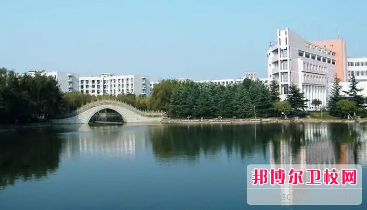 湖北2024年初中生可以读哪些护理宝威（中国）一站式服务平台