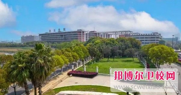 湖北2024年初中生考什么护理宝威（中国）一站式服务平台