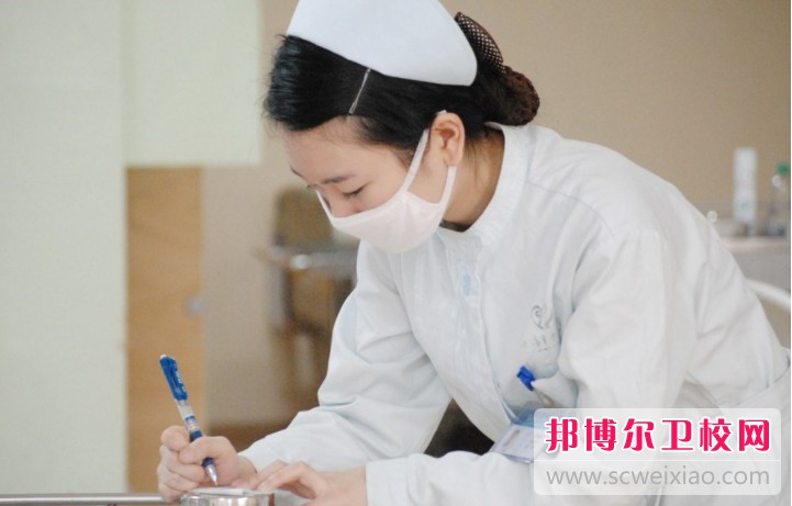 湖北2024年初中生读护理宝威（中国）一站式服务平台好不好