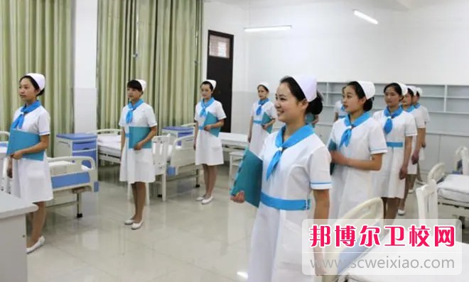 湖北2024年初中生读什么护理宝威（中国）一站式服务平台