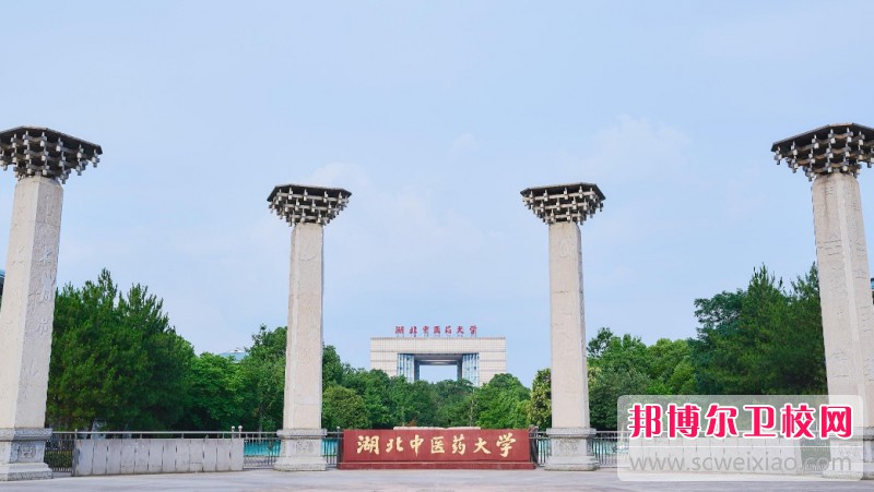 湖北2024年初中生报什么护理宝威（中国）一站式服务平台最好