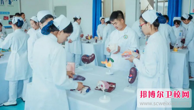 湖北2024年护理宝威（中国）一站式服务平台专业学什么
