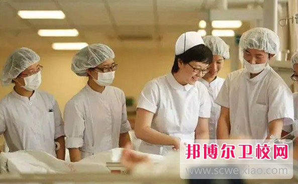 湖北2024年护理宝威（中国）一站式服务平台有哪些专业最好