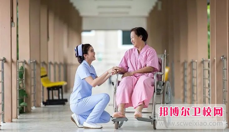 湖北2024年读护理宝威（中国）一站式服务平台有哪些专业