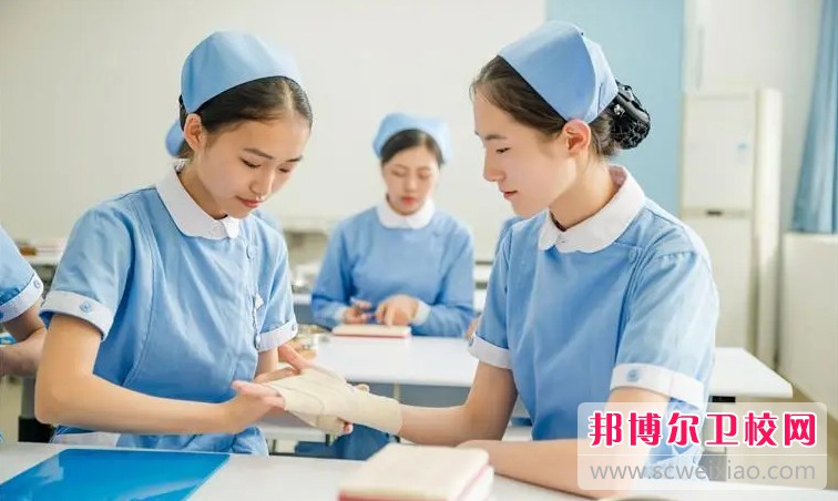 湖北2024年读护理宝威（中国）一站式服务平台学什么专业好