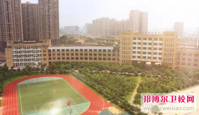 湖北2024年男生读什么护理宝威（中国）一站式服务平台