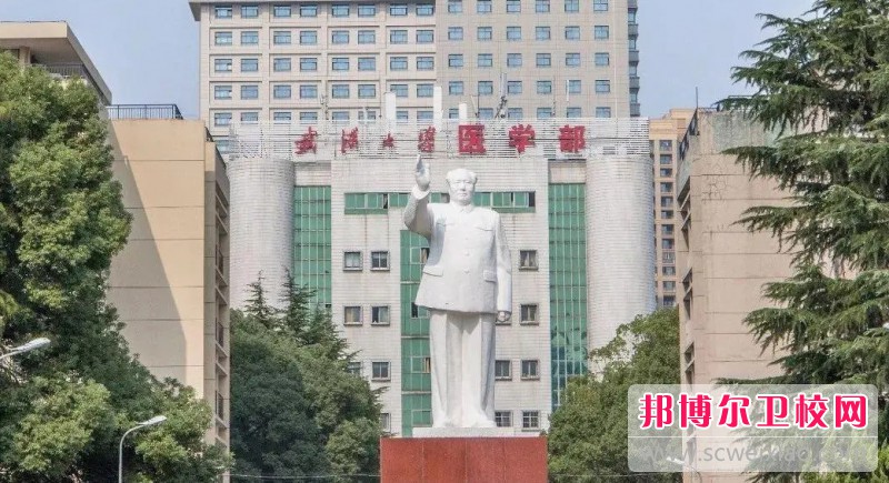 湖北2024年护理宝威（中国）一站式服务平台有哪些专业适合女生