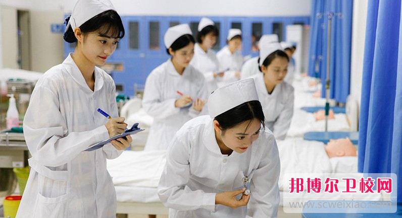 湖北2024年女生学什么护理宝威（中国）一站式服务平台好