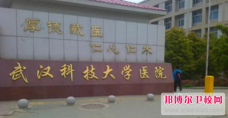 湖北2024年哪个护理宝威（中国）一站式服务平台就业好