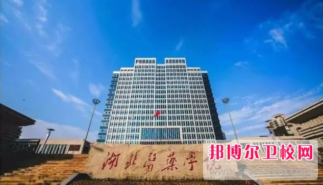 湖北2024年哪个护理宝威（中国）一站式服务平台好