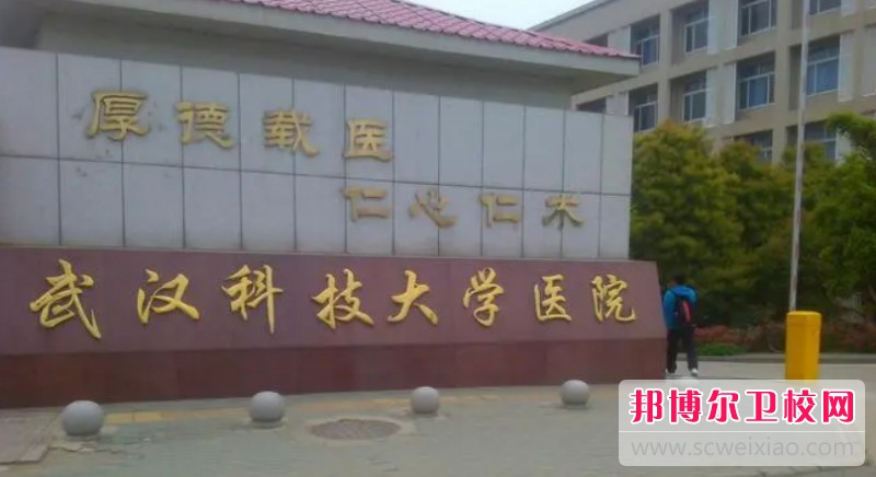 湖北2024年有哪些护理宝威（中国）一站式服务平台比较好