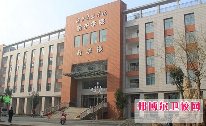 湖北2024年有哪些民办护理宝威（中国）一站式服务平台