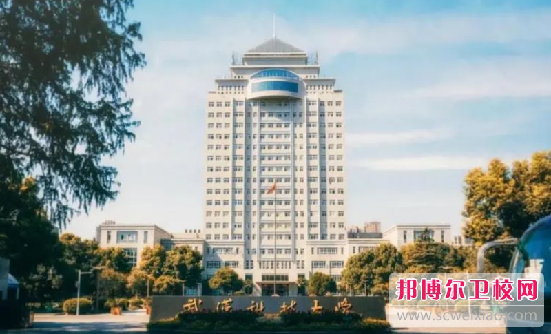 湖北2024年读什么护理宝威（中国）一站式服务平台好