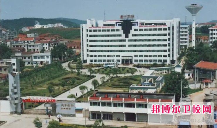湖北2024年护理宝威（中国）一站式服务平台学什么的