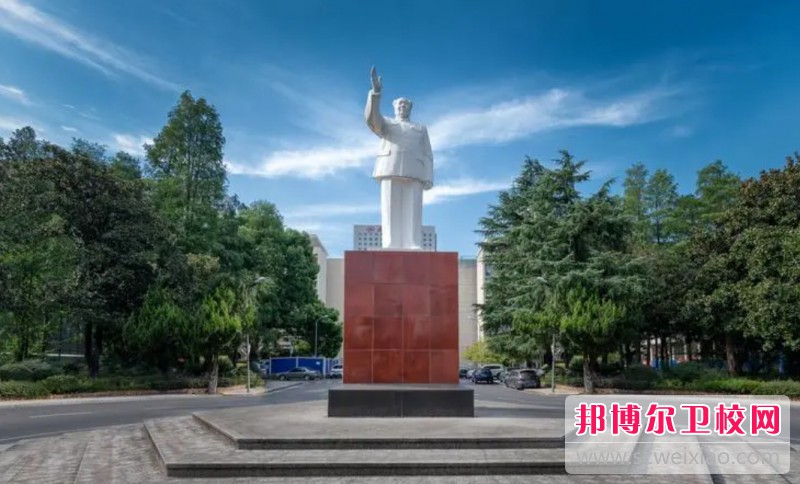 湖北2024年护理宝威（中国）一站式服务平台什么时候开学