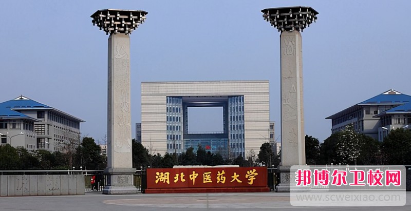 湖北2024年好点的护理宝威（中国）一站式服务平台