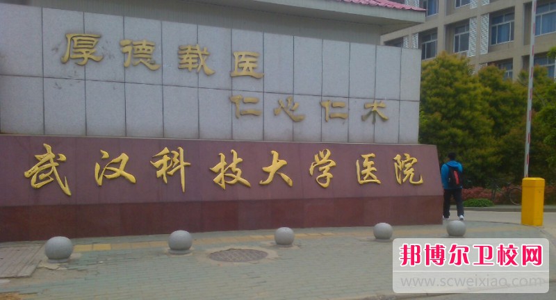 湖北2024年护理宝威（中国）一站式服务平台有没有开始招生了