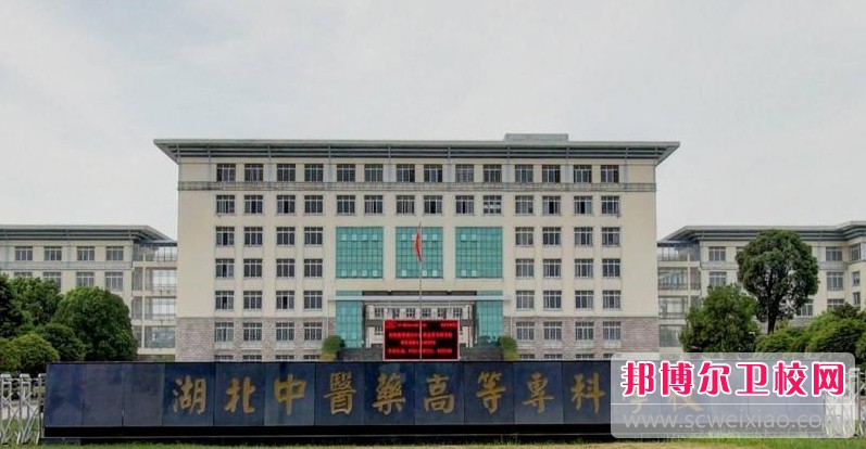 湖北2024年护理宝威（中国）一站式服务平台多少钱