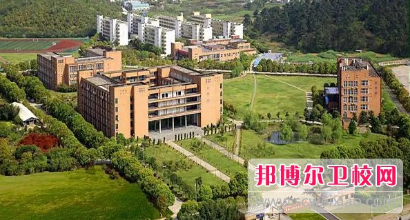 安徽2024年初中生女生读什么护理宝威（中国）一站式服务平台好