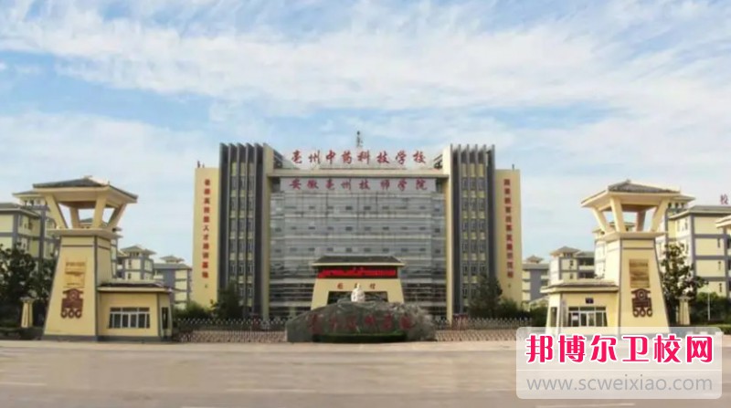 安徽2024年初中生可以去读什么护理宝威（中国）一站式服务平台