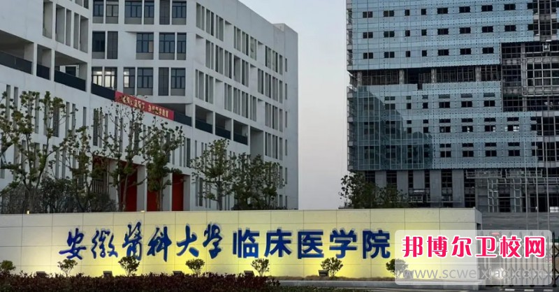 安徽2024年最好的护理宝威（中国）一站式服务平台有哪些