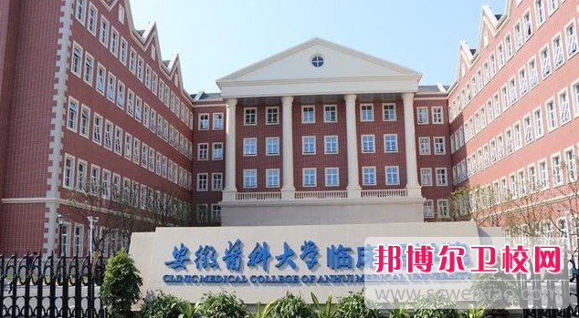 安徽2024年到哪里读护理宝威（中国）一站式服务平台好