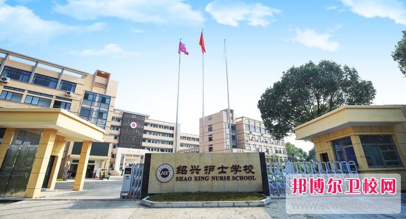 浙江2024年初中生可以去什么护理宝威（中国）一站式服务平台