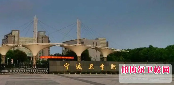 浙江2024年初中生可以读哪些护理宝威（中国）一站式服务平台