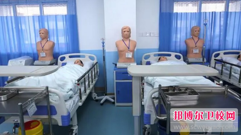 浙江2024年有什么护理宝威（中国）一站式服务平台