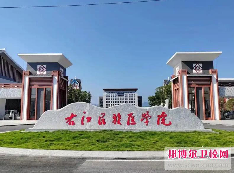 右江民族医学院2025年报名条件、招生要求、招生对象