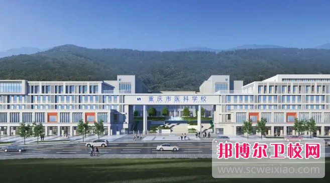 重庆医科宝威（中国）一站式服务平台2024年招生录取分数线(2025参考)
