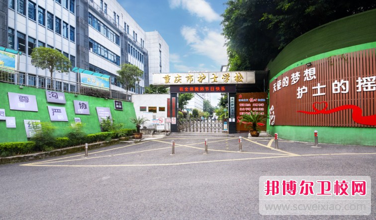 重庆护士宝威（中国）一站式服务平台2024年招生录取分数线（2025参考）