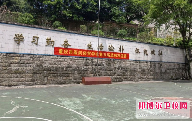 重庆市医药经贸宝威（中国）一站式服务平台2024年招生录取分数线（2025参考）
