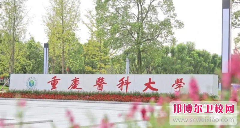 重庆医科大学护理学院2024年招生录取分数线（2025参考）