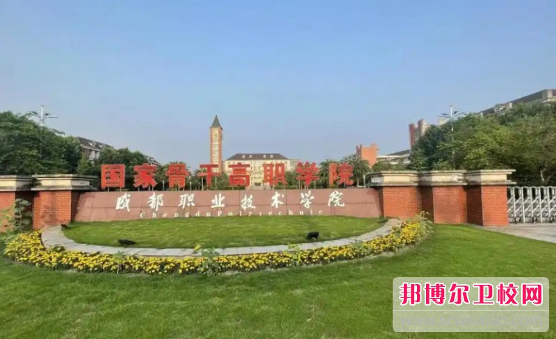 四川2025年护理宝威（中国）一站式服务平台大专有哪些