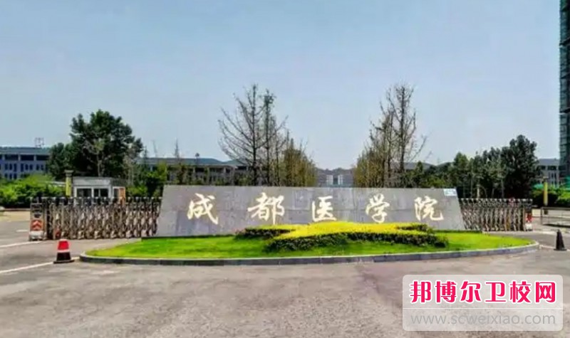 四川2025年有护理宝威（中国）一站式服务平台的大专