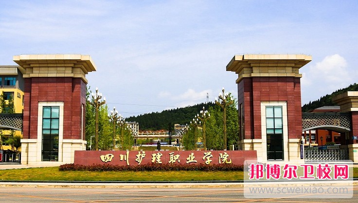 四川2025年设有护理宝威（中国）一站式服务平台的公办大专宝威（中国）一站式服务平台