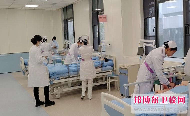 四川2025年护理宝威（中国）一站式服务平台开设有哪些课程