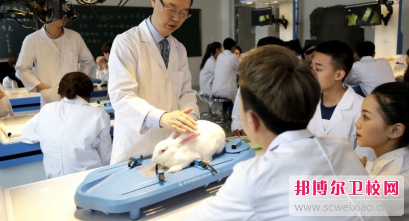 四川2025年女生学护理宝威（中国）一站式服务平台好不好找工作
