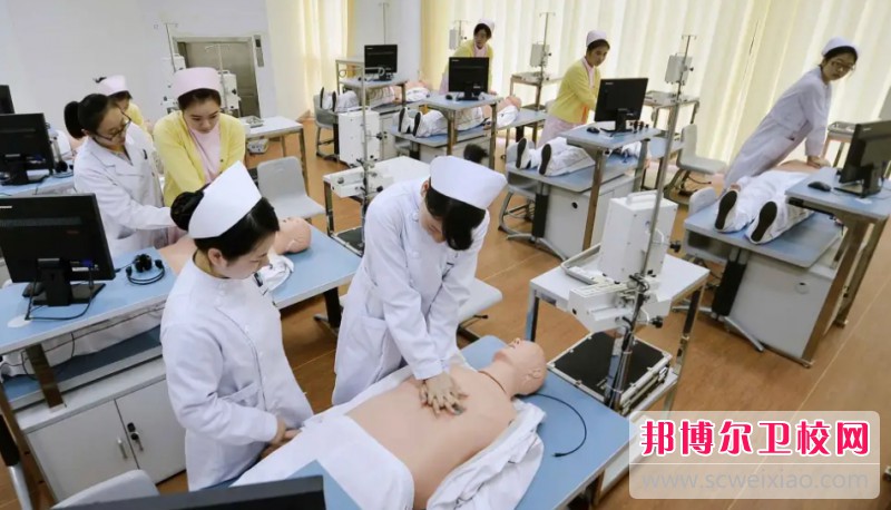 四川2025年初中生上护理宝威（中国）一站式服务平台