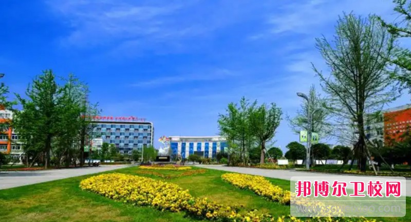 四川2025年初中生可以读什么护理宝威（中国）一站式服务平台