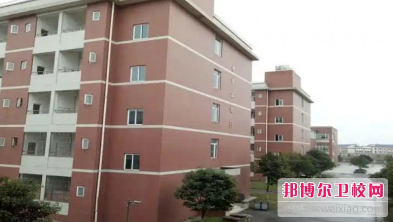 四川2025年初中生可以读哪些护理宝威（中国）一站式服务平台
